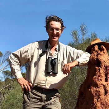 Professor David Watson